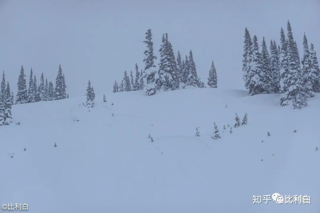 雪崩9人失踪！遇难者身份陆续确认其中6位硅谷精英母亲(图1)