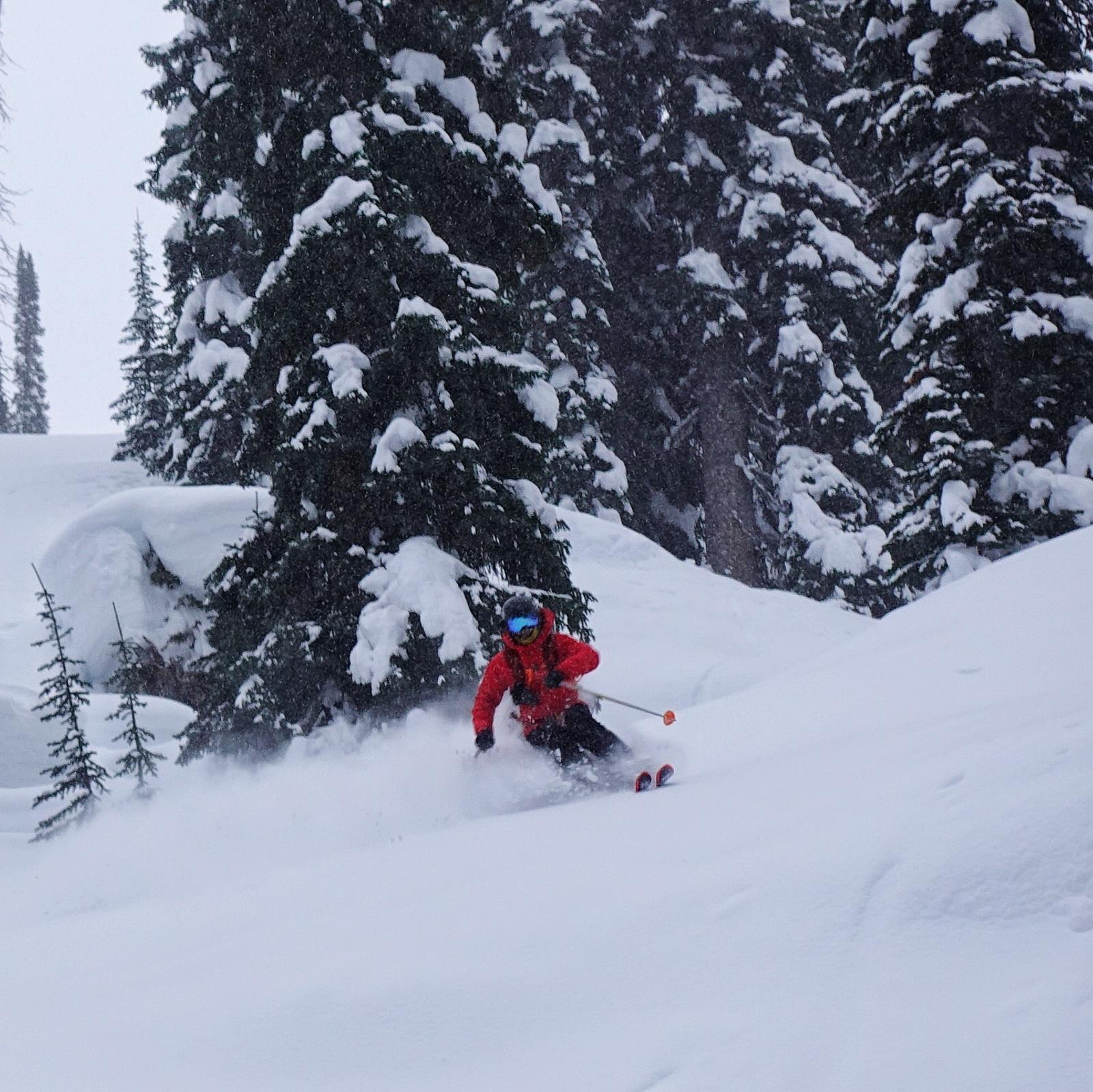 ng体育app手机版(China)官方网站-网页版登录入口app下载(图1)